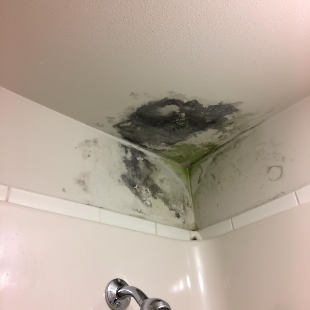 Schimmel über der Dusche