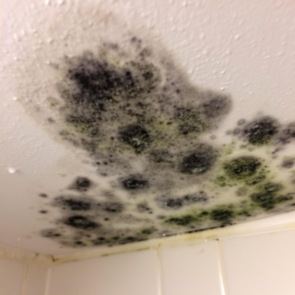 Schimmel an Deckenflächen