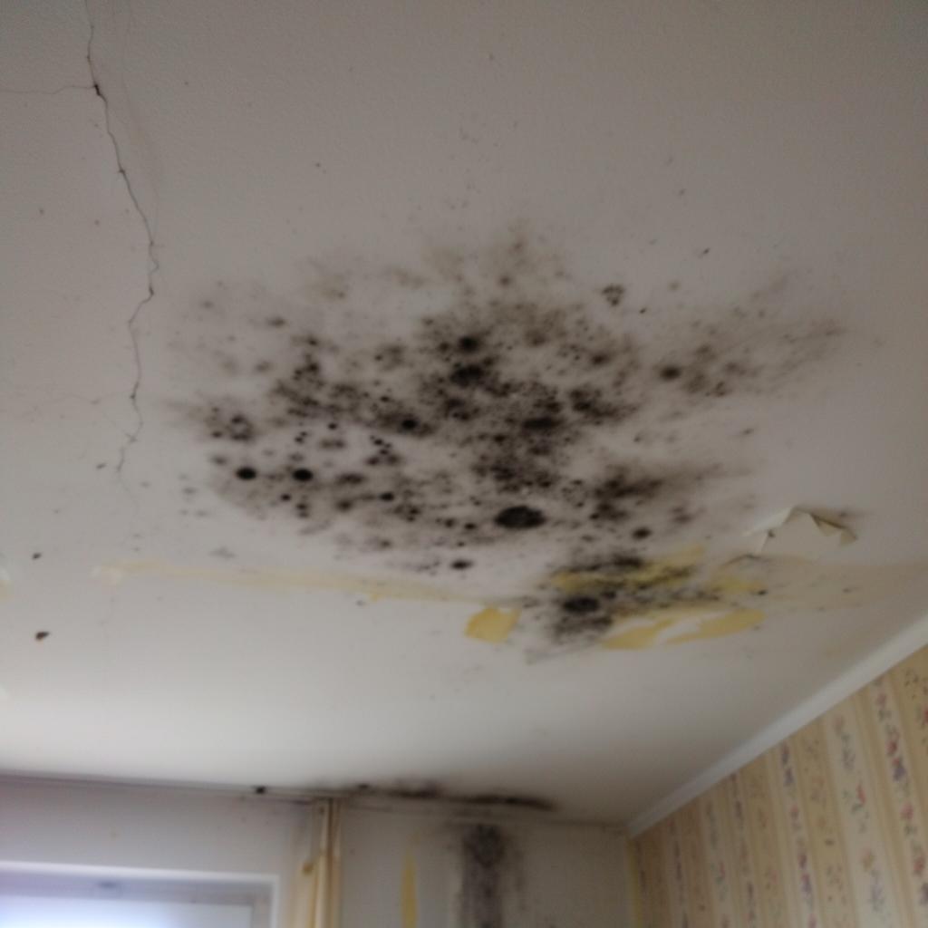 Schimmel an der Decke im Badezimmer