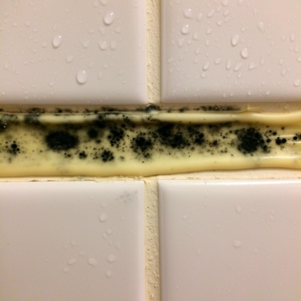 Schimmel in Duschfugen