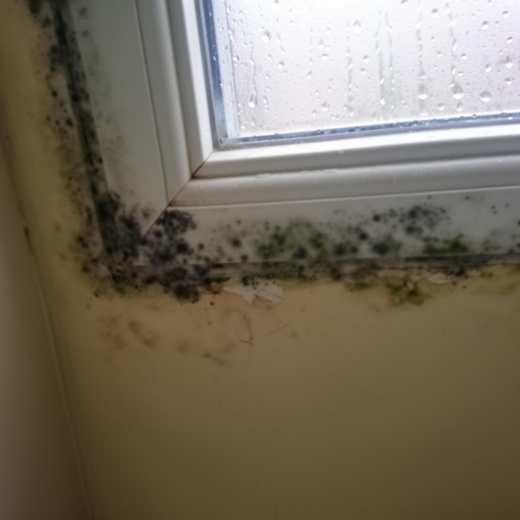 Schimmel am Fenster im Badezimmer